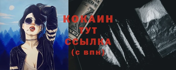 прущие грибы Анива
