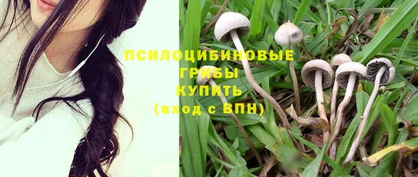 СК Михайловск