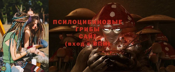 СК Михайловск