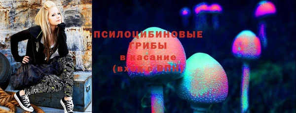 дмт Михайлов
