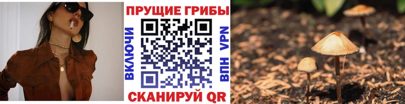 Галлюциногенные грибы мухоморы  магазин  наркотиков  MEGA вход  Заозёрный 